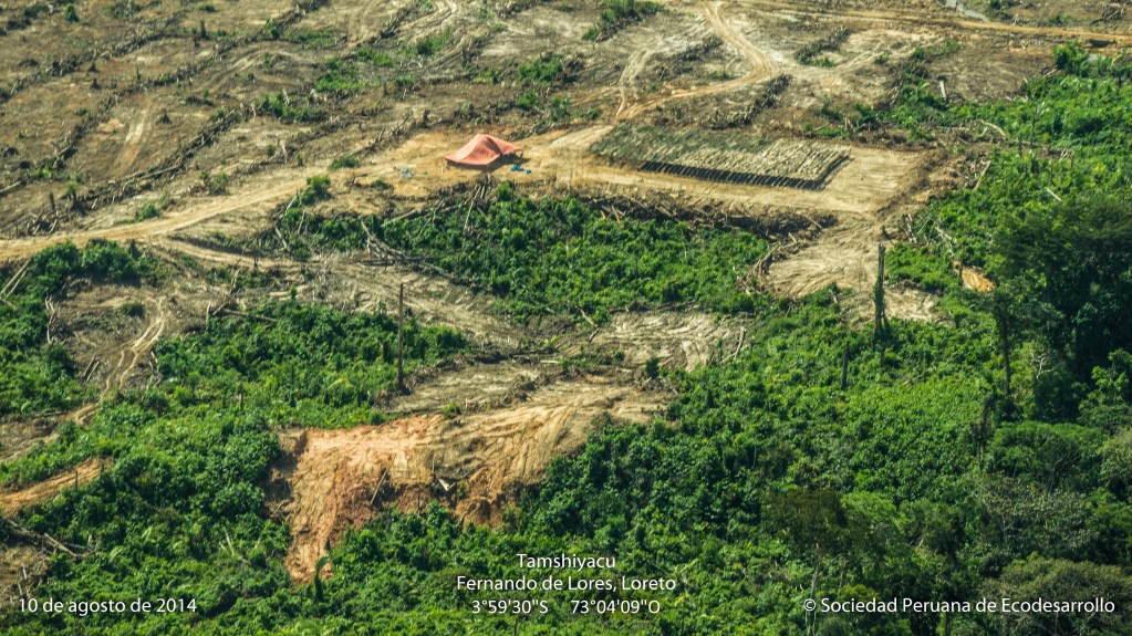 Deforestación de bosques primarios en el Fundo Tamshiyacu