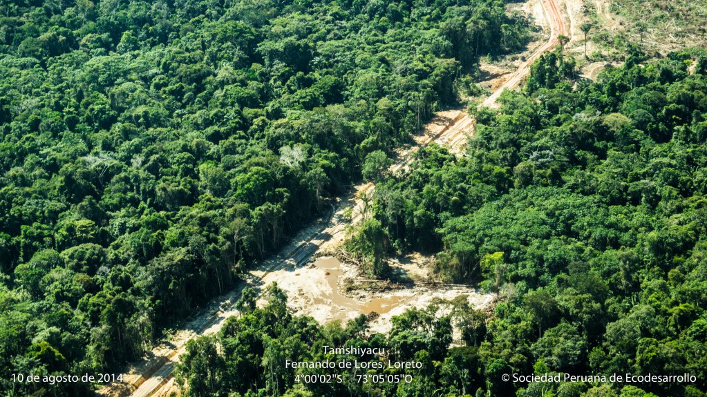 Apertura de trochas para continuar deforestando en el Fundo Tamshiyacu