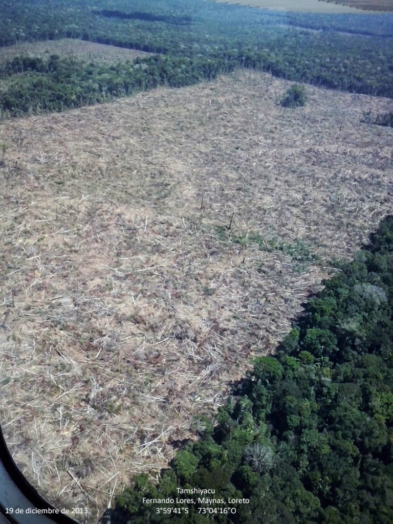 Deforestación de bosques primarios en el Fundo Tamshiyacu